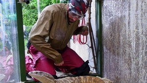 I'm a Celebrity...Get Me Out of Here! Season 15 Ep.10 10. epizód