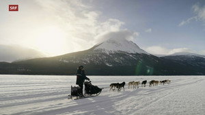 Musher, l'appel de l'Alaska háttérkép