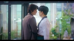 마이스윗디어 kép