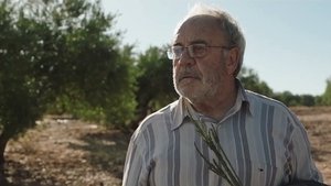 Camino de la suerte háttérkép