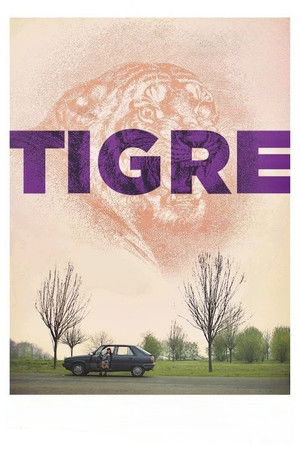Tigre poszter