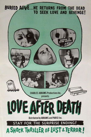 Love After Death poszter