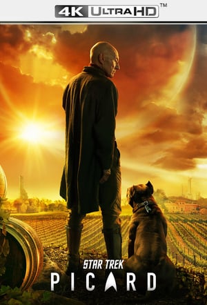 Star Trek: Picard poszter