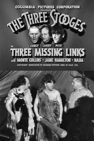 Three Missing Links poszter