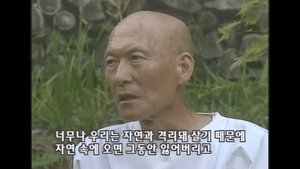 법정, 산에서 그를 만나다 háttérkép