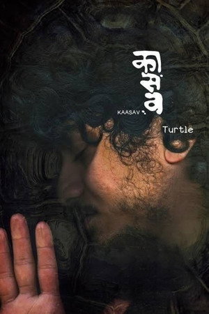 Kaasav: Turtle poszter