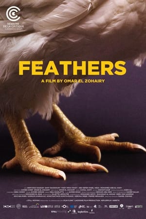 Feathers poszter