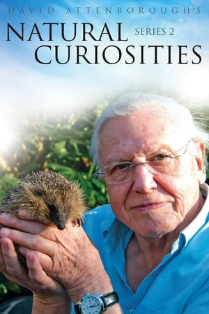 A természet furcsaságai David Attenborough-val