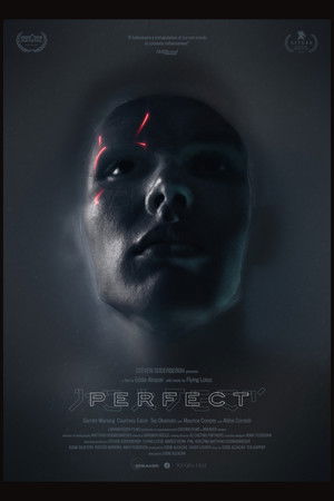 Perfect poszter