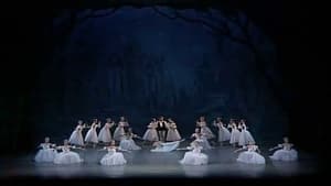 Les Sylphides háttérkép