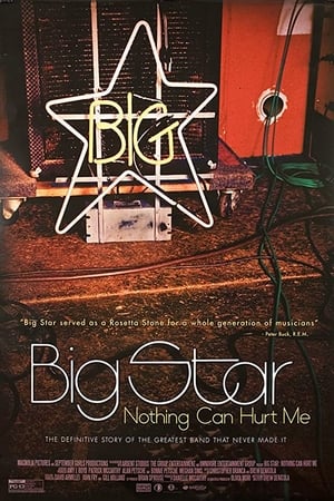 Big Star: Nothing Can Hurt Me