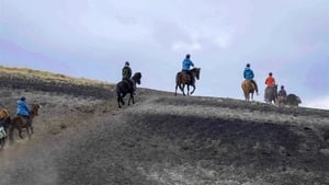 Islande, la quête des origines háttérkép