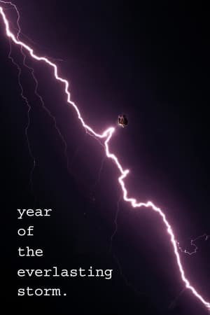 The Year of the Everlasting Storm poszter