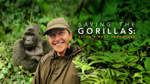 Saving the Gorillas: Ellen's Next Adventure háttérkép