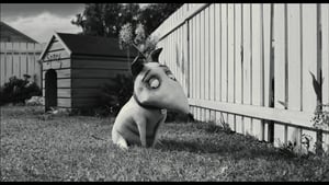 Miniatures in Motion: Bringing Frankenweenie to Life háttérkép