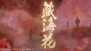 藏海花 kép