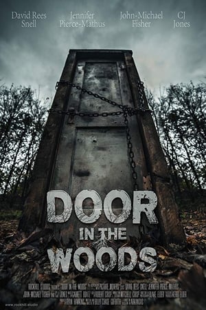 Door in the Woods poszter