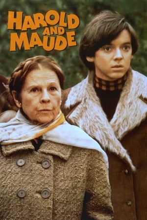 Harold és Maude poszter