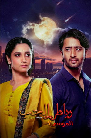 Pavitra Rishta - It's Never Too Late poszter