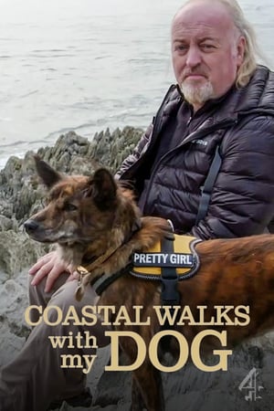 Coastal Walks with My Dog