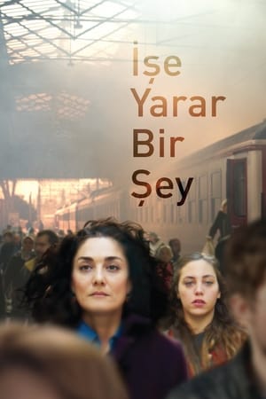 İşe Yarar Bir Şey