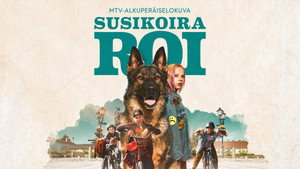 Susikoira Roi háttérkép