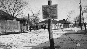 Vie et destin du Livre noir, la destruction des Juifs d'URSS háttérkép