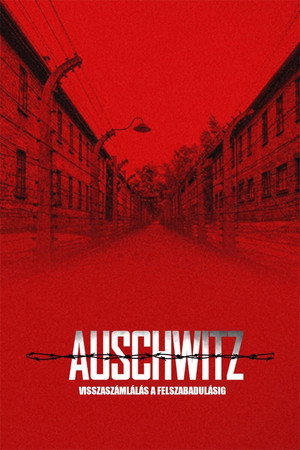 Auschwitz: Visszaszámlálás a felszabadításig