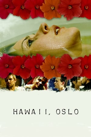 Hawaii, Oslo poszter