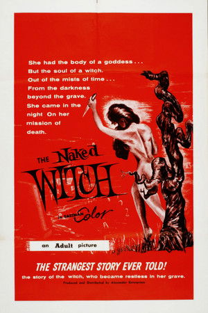 The Naked Witch poszter