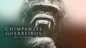Rise of the Warrior Apes háttérkép