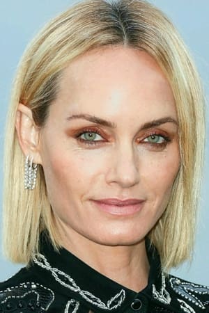 Amber Valletta profil kép