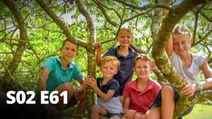 Familles nombreuses : la vie en XXL 2. évad Ep.61 61. epizód