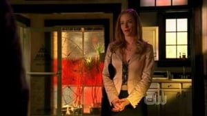 Veronica Mars 3. évad Ep.10 Az ellopott majom