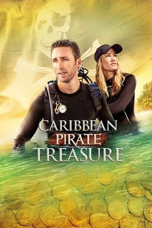 Caribbean Pirate Treasure poszter