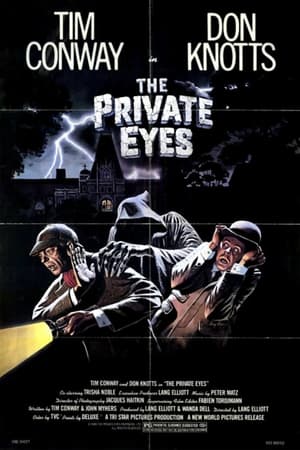 The Private Eyes poszter