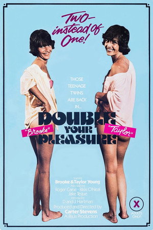 Double Your Pleasure poszter