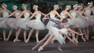 Swan Lake háttérkép