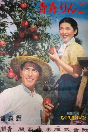 石中先生行状記 poszter