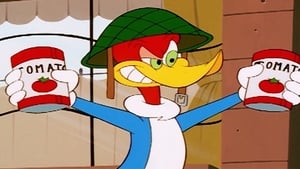 The New Woody Woodpecker Show 1. évad Ep.1 1. epizód