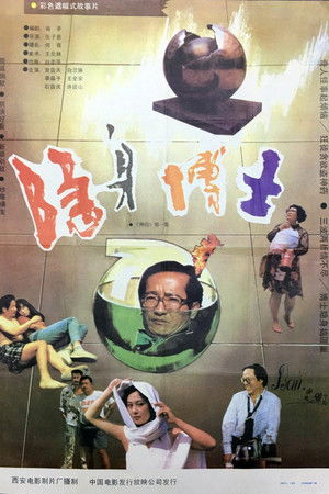 隐身博士 poszter