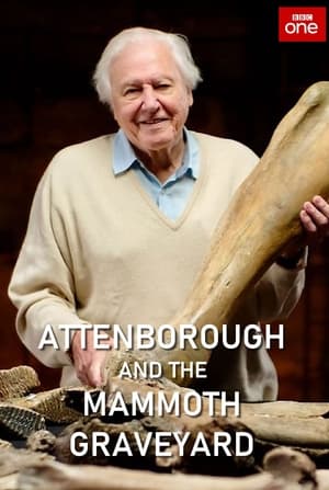 Attenborough and the Mammoth Graveyard poszter