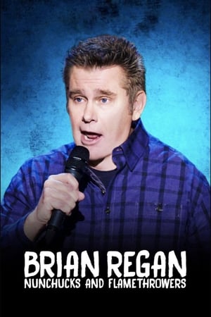 Brian Regan: Nunchucks and Flamethrowers poszter