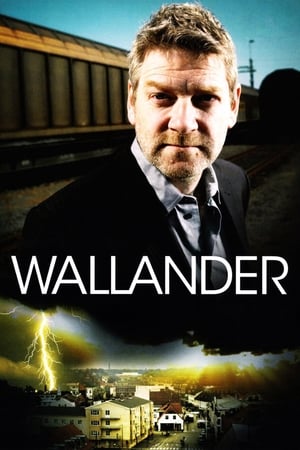 Wallander poszter