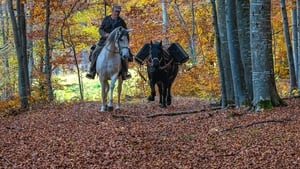 La vallée des loups háttérkép