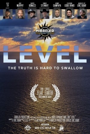 Level