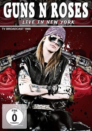 Guns N’ Roses: Live In New York 1991 poszter