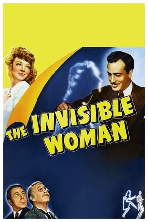 The Invisible Woman poszter