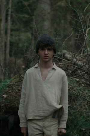 The Boy in the Woods poszter