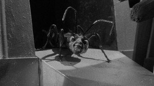 The Outer Limits Season 1 Ep.14 14. epizód